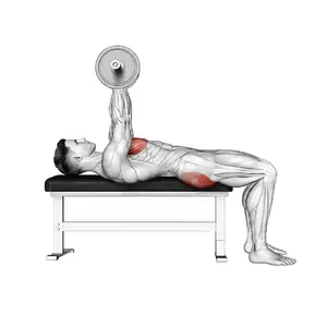 Animation of a flat barbell bench press, from the Elvyfit exercise guide