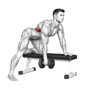 Animation of a one arm dumbbell row, from the Elvyfit exercise guide