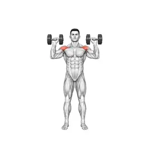 Animation of a seated dumbbell shoulder press, from the Elvyfit exercise guide