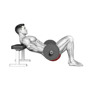 Animation of a barbell hip thrust, from the Elvyfit exercise guide