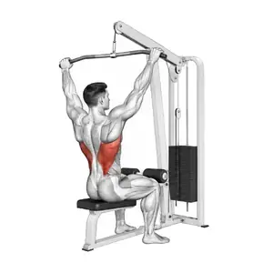 Animation of a cable lat pulldown, from the Elvyfit exercise guide