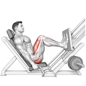 Animation of a machine leg press, from the Elvyfit exercise guide