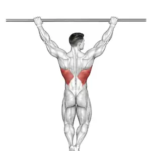 Animation of pull ups, from the Elvyfit exercise guide